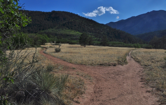 Bear Creek Park trail